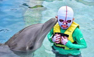 Ronald Weaver Plays With Dolphins