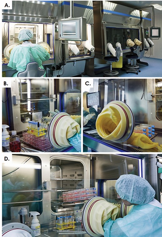 Photographic representation of the in-house Cell Production Center GMP production platform with isolator manufacturing chains. (A) Overview of the main production unit. (B) Handling of the cell cultures in the isolator workspace, before reincubation in the integrated controlled atmosphere compartments. (C) Observation of confluent cultures with dedicated imaging systems. (D) Transfer of the cultures back to the incubator compartment.