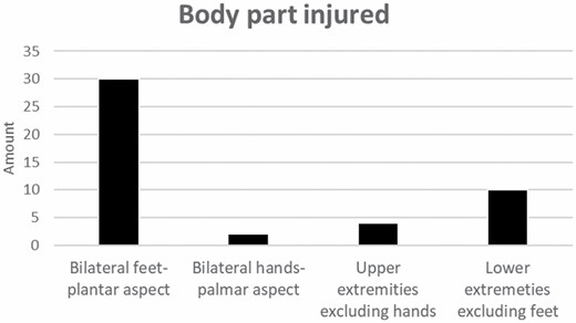 Body part injured.