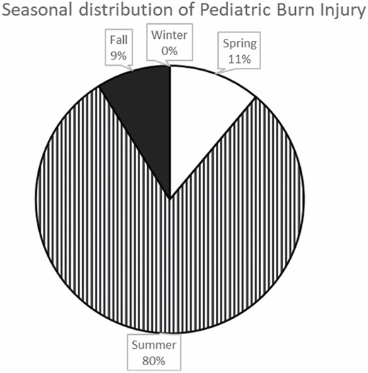 Seasonal distribution of pediatric pavement burn injuries. The following are seasonal distributions: Winter (December to February), Spring (March to May), Summer (June to August), and Fall (September to November).